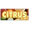Signmission CITRUS BANNER SIGN florida orange grapefruit lemon juice fruit produce B-96 Citrus - alternate 1
